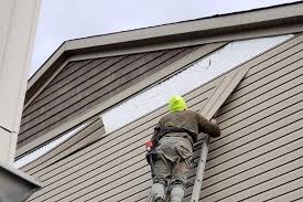 Best Vinyl Siding Installation  in Lancaster, TX